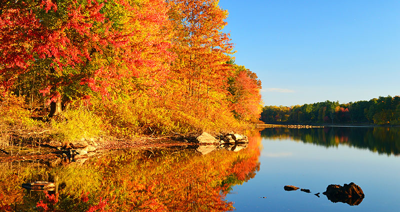 a lake lined by trees showing bright fall foliage