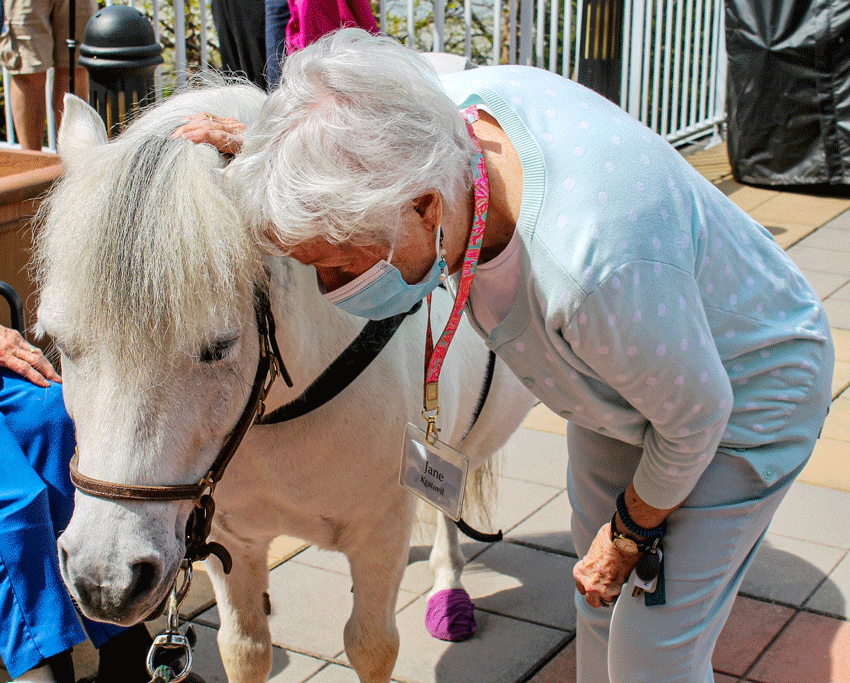Resident Jane Kratovil pets one of the mini-therapy horses.